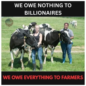 Raw Pecans Raw Pecans